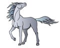 Horse. A beautiful gray stallion looks into the sky, the wind flutters its long mane and tail - vector full color picture with an