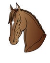 Graceful head of a bay horse. Akhal-Teke horse - vector full color illustration. Stallion of the Eastern breed with a white mark o
