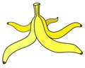 Banana peel - vector full color illustration. Yellow Banana peels, stem stem. Fruit rind on the floor, slip