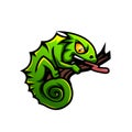 Chameleon mascot design with tongue out