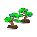 Bonsai illustration on white background. two houseplants icon, hand drawn vector. beautiful nature scenery. doodle art for logo, l