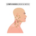 Diagram of Lymph nodes of the head and neck. Royalty Free Stock Photo