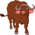 Cute buffalo cartoon posing isolated on white background
