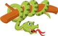Cartoon green snake on tree Royalty Free Stock Photo