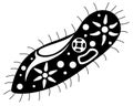 Infusoria slipper - vector black silhouette for logo or pictogram. Infusoria slipper with organelles - unicellular microorganism -