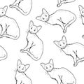 Realistic sitting cats seamless pattern sketch template. Cartoon graphic vector illustration in black and white