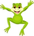 Cute frog jumping cartoon Royalty Free Stock Photo