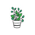 Potted plant illustration on white background. houseplant icon. hand drawn vector. decorative plant. green leaf with white pot. do Royalty Free Stock Photo