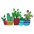 Set of beautiful potted plant illustration on white background. houseplant icon. beautiful and fresh plant. hand drawn vector. doo Royalty Free Stock Photo