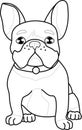 Cute realistic french bulldog sketch template. Cartoon graphic vector illustration in black and white