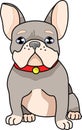 Cute realistic french bulldog with bright red collar template. Cartoon colorful pet vector illustration Royalty Free Stock Photo