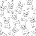 Cute realistic french bulldog sketch seamless pattern template. Cartoon graphic vector illustration in black and white Royalty Free Stock Photo