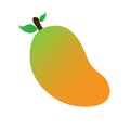 simple illustration of half ripe mango