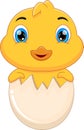 Cartoon baby duck hatching from egg Royalty Free Stock Photo