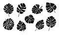 Tropical plant monstera leaves set. Black hand drawn vector isolated on white background. Royalty Free Stock Photo