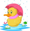 Cartoon cute duck using umbrella in the rain