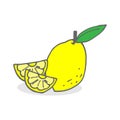 Fresh Yellow Lemon and Sliced Illustration Hand-Drawn Doodle Art for Healthy Fruit, Refreshing Design, and Sour Flavor Royalty Free Stock Photo