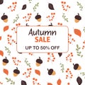 Sale, discounts autumn in beige, red color. 50 %. Acorn, leaves, rowan