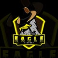 An e sports logo featuring an eagle