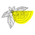 yellow vector lemons whole and sliced fruits isolated