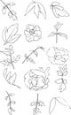 Peony flower set coloring book illustration vector on white background. Royalty Free Stock Photo