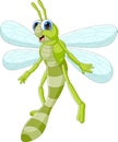 Cute cartoon dragonfly on white background Royalty Free Stock Photo