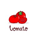 Savor the Flavor: Hand-Drawn Tomato Lettering and Illustration on White Background, Perfect for Logos and Labels. Royalty Free Stock Photo