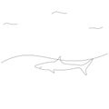 Shark line drawing, vector illustration