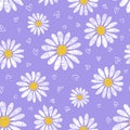 Cute seamless pattern with hand drawn chamomile flowers and hearts isolated on purple background. Royalty Free Stock Photo