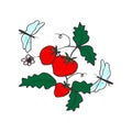 Strawberry plant with two dragonflies illustration on white background. red strawberry wiht branch and green leaf. hand drawn vect