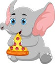 Cute baby elephant eating pizza