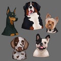 vector illustration dogs set animals pets animal Royalty Free Stock Photo