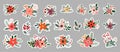 Christmas floral stickers big collection, different bouquets Royalty Free Stock Photo