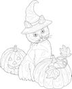 Cute cartoon cat in witch hat sitting with pumpkins sketch template. Spooky Halloween vector illustration in black and white Royalty Free Stock Photo