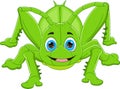 Cartoon cute grasshopper isolated on white background Royalty Free Stock Photo