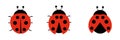 Ladybugs cute characters set. Ladybirds insects flying with open wings.