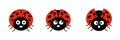 Ladybugs cute characters set. Ladybirds insects flying with open wings.