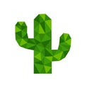 Polygonal geometric crystal cactus