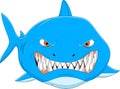 Angry shark cartoon isolated on white background Royalty Free Stock Photo