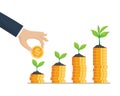 Tree growing on coins stack. growth and save business concept. steps to money success. Royalty Free Stock Photo