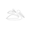 Pelicans birds line drawing, vector illustration