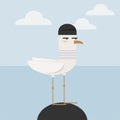 Cartoon style sailor seagull, vector.