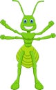 Cartoon cute grasshopper isolated on white background Royalty Free Stock Photo