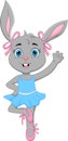 Cartoon funny rabbit ballerina on white background Royalty Free Stock Photo
