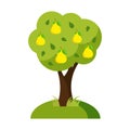Web tree, a pear tree, a flat design. Vector illustration Royalty Free Stock Photo