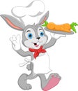 Cartoon chef rabbit carrying carrots