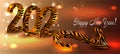 Happy new year 2022 banner design. Tiger fur texture striped numbers. Royalty Free Stock Photo