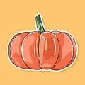 Pumpkin icon vector design