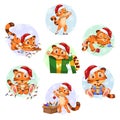 Set of cute little tigers in Santa hats on white background. Royalty Free Stock Photo