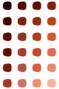 Set of skin shades concealer in square palette for make-up